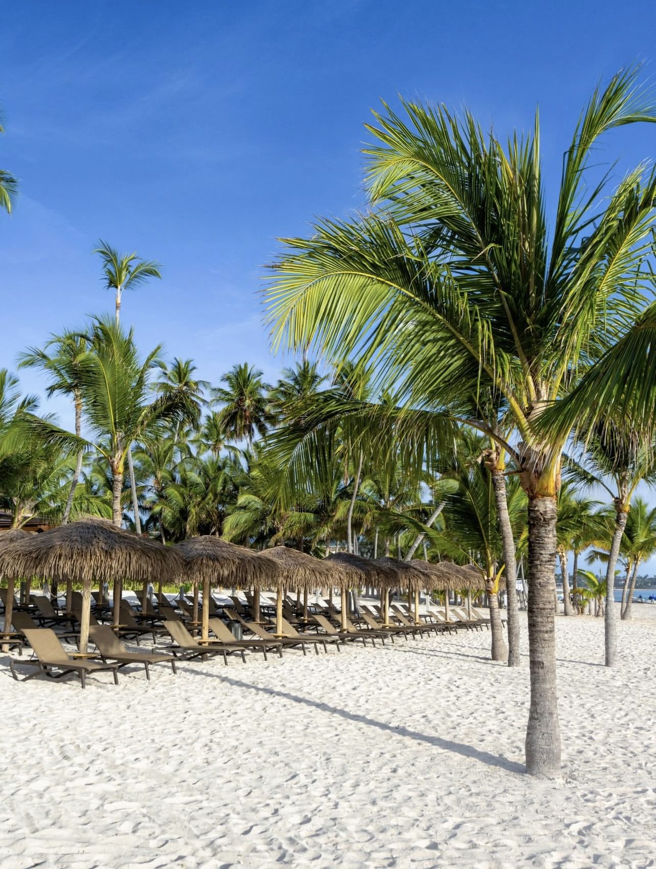 Lopesan Costa Bávaro — restaurante con techo de fibra